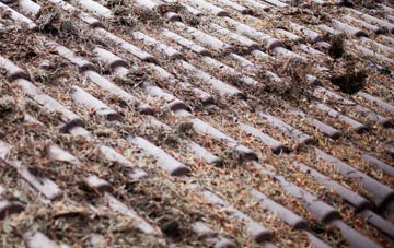 Overs roof cleaning companies